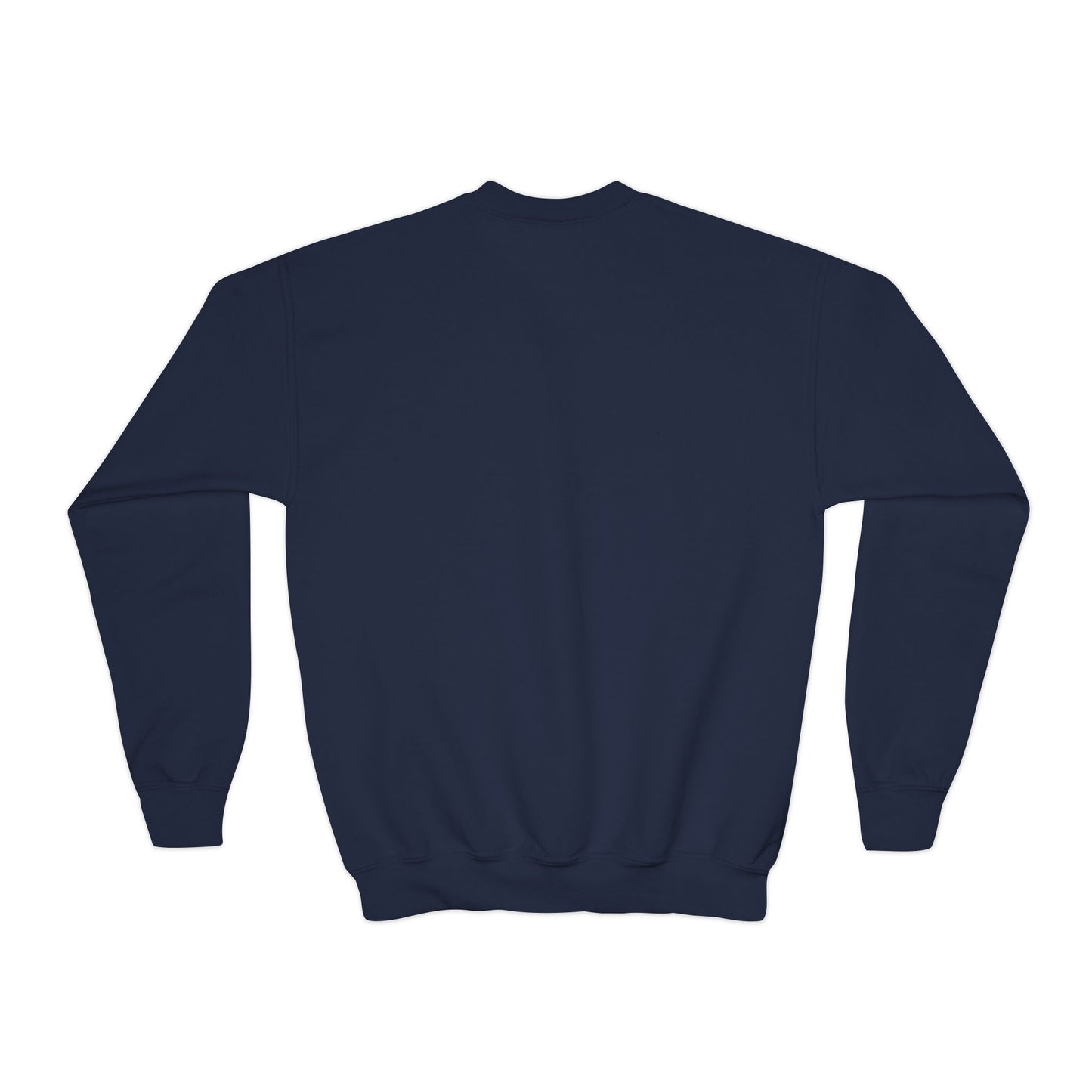 Freedom Eagle Aviator Youth Sweatshirt | USA Bald Eagle Graphic