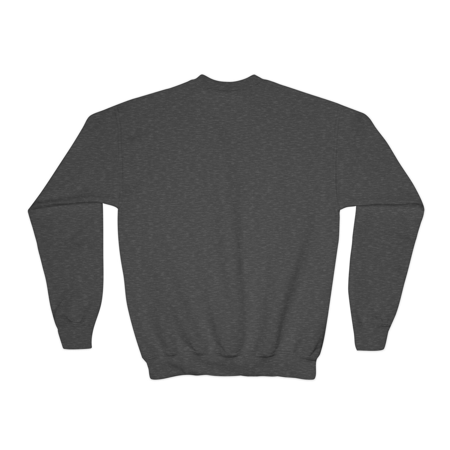 Freedom Eagle Aviator Youth Sweatshirt | USA Bald Eagle Graphic