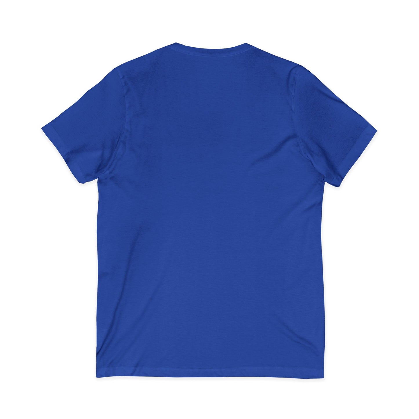 Freedom Eagle Aviator Men's V-Neck Tee | USA Bald Eagle Graphic