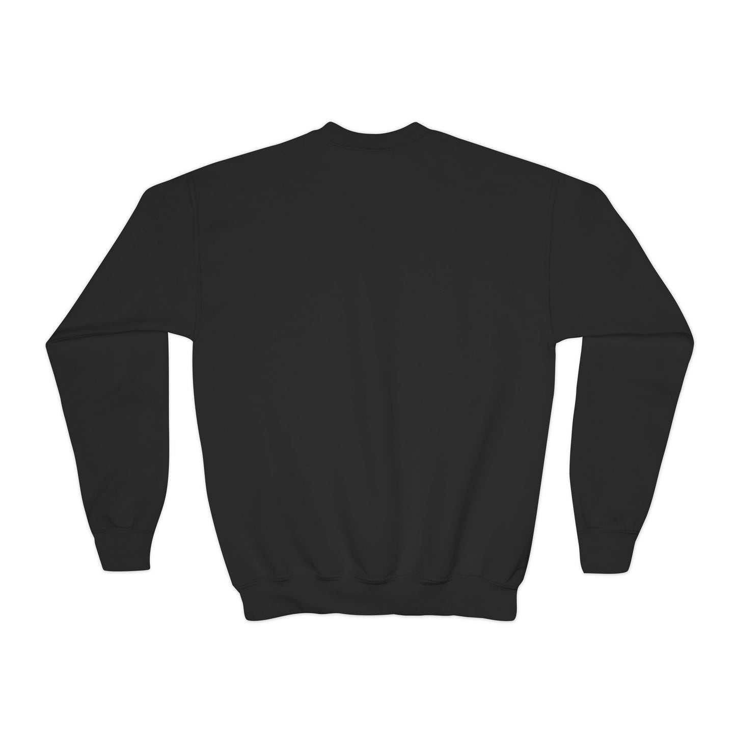 1776 Heritage Youth Sweatshirt | USA Bald Eagle Graphic